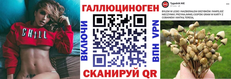Галлюциногенные грибы мицелий  продажа наркотиков  Шилка 